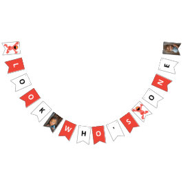 Sesame Street Elmo | Crayon Birthday Wimpelkette