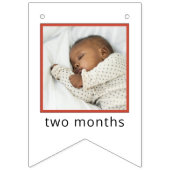 Sesame Street | Elmo First Birthday Bunting Flags Wimpelkette (Zweite Fahne)