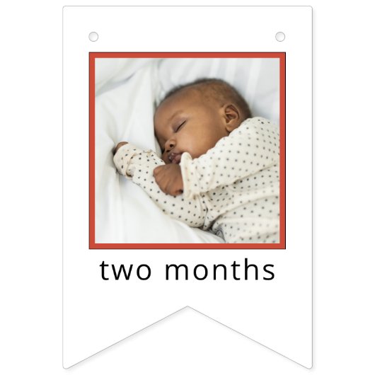 Sesame Street | Elmo First Birthday Bunting Flags Wimpelkette (Zweite Fahne)