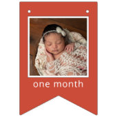 Sesame Street | Elmo First Birthday Bunting Flags Wimpelkette (Erste Fahne)