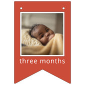 Sesame Street | Elmo First Birthday Bunting Flags Wimpelkette (Dritte Fahne)