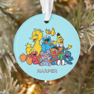 Sesame Street Freunde   Benutzerdefinierter Name & Ornament