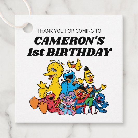 Sesame Street Pals Birthday Geschenkanhänger (Vorderseite)
