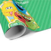Sesame Street Pals Birthday Geschenkpapier (Rolleneckpunkt)