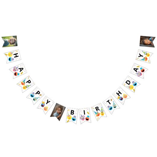 Sesame Street Pals Confetti Birthday Wimpelkette (Alle)