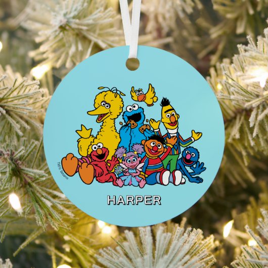 Sesame Street Pals | Customized Name & Photo Ornament Aus Metall (InSitu)