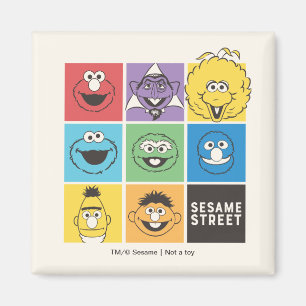 Sesame Street Pals   Farbblöcke Magnet