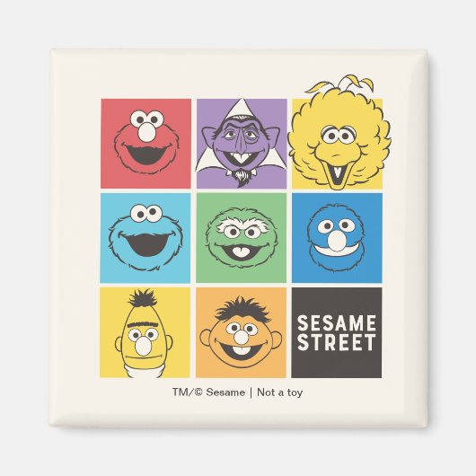 Sesame Street Pals | Farbblöcke Magnet (Vorne)
