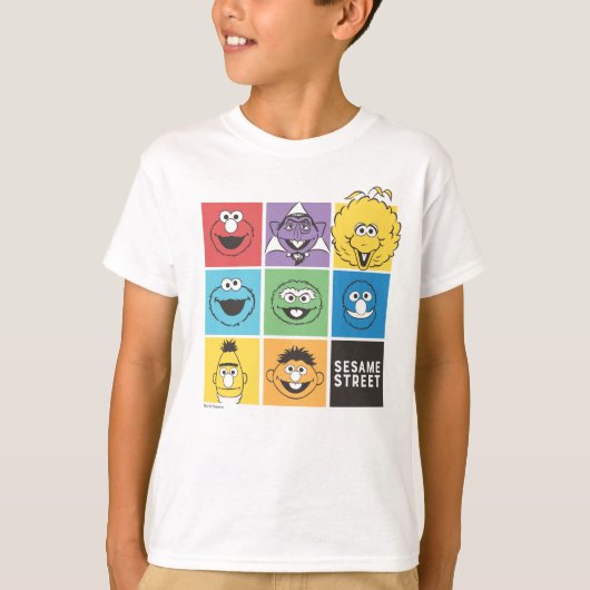 Sesame Street Pals | Farbblöcke T-Shirt (Vorderseite)