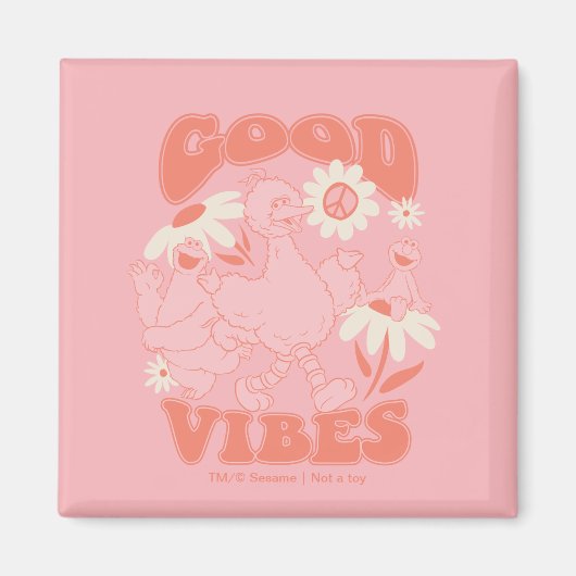 Sesame Street Pals | Good Vibes Magnet (Vorne)