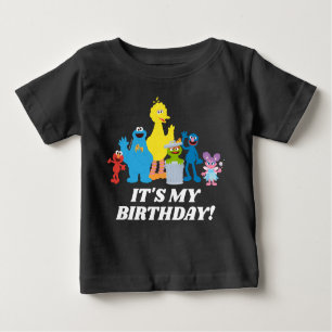Sesame Street Pals   Mein Geburtstag Baby T-shirt