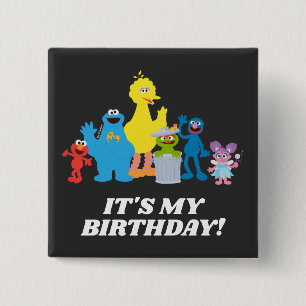Sesame Street Pals Mein Geburtstag Button
