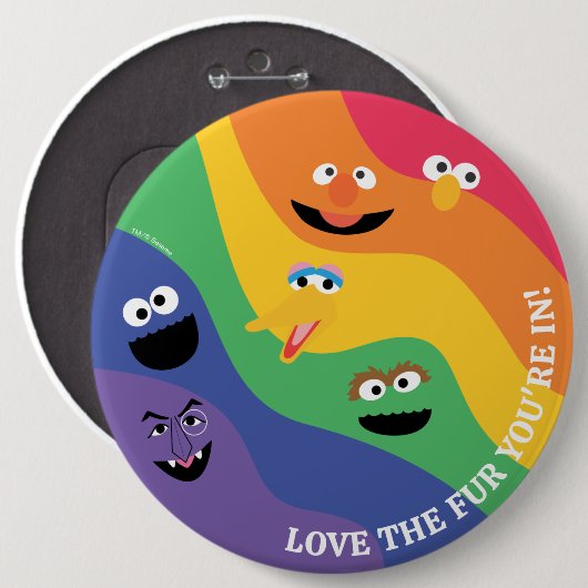 Sesame Street Pals Rainbow Button (Vorne & Hinten)