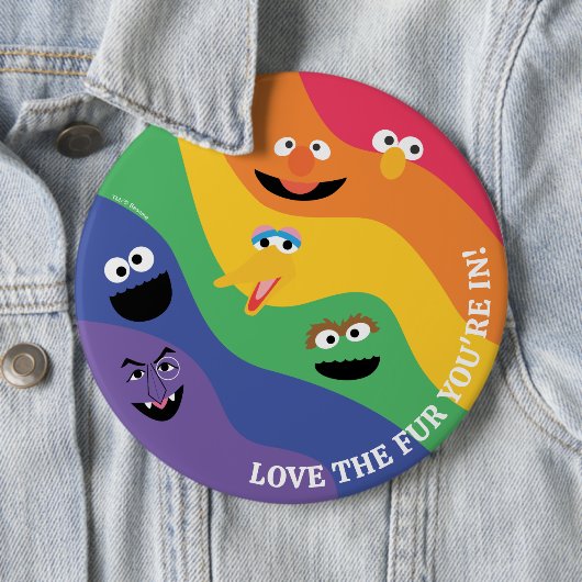 Sesame Street Pals Rainbow Button (Beispiel)