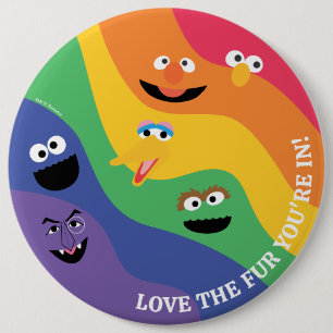 Sesame Street Pals Rainbow Button