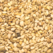 Sesamsaat Aufkleber (Vorderseite)