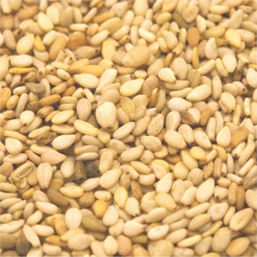 Sesamsaat Aufkleber (Vorderseite)