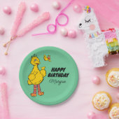 Sesamstraße | Big Bird & Little Bird zum Geburtsta Pappteller (Party)