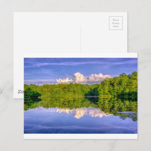 Sesqui Lake Postkarte (Vorne/Hinten)