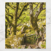 Sessile Eichen und Moos im Wald von Wistman Weinetikett (Einzelnes Label)