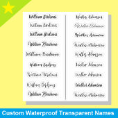 (Set 18) Transparente einfache Namensaufkleber Aufkleber