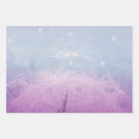 Set 3 Löwenzahn wünscht Samenkopf Geschenkpapier Set (Vorderseite 3)