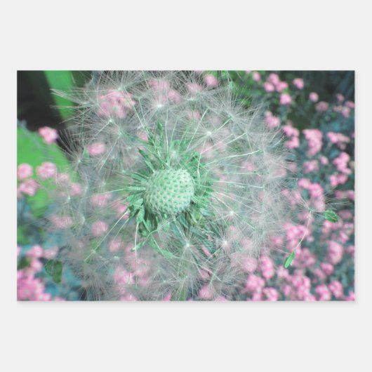 Set 3 Löwenzahn wünscht Samenkopf Geschenkpapier Set (Vorderseite 2)