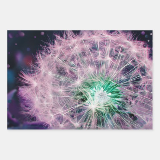 Set 3 Löwenzahn wünscht Samenkopf Geschenkpapier Set (Vorderseite)