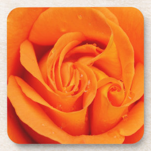 Set 6 Drink-Coaster Orange Rose Blume Retro Getränkeuntersetzer