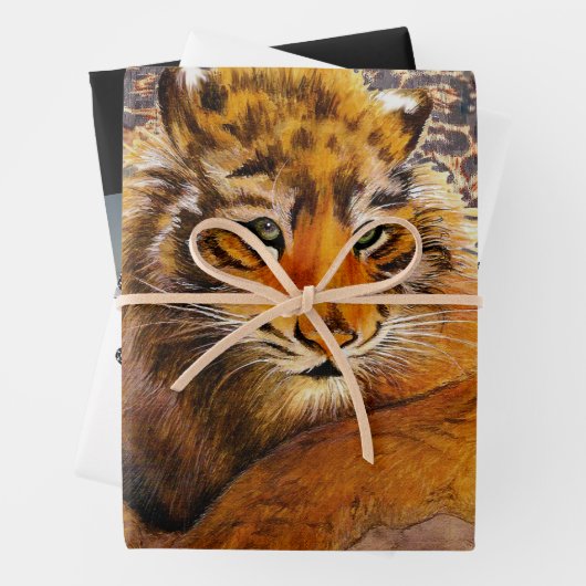 Set aus 3 flachen Blechen Geschenkpapier Set (Beispiel)