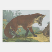 Set aus 3 Überziehpapier Geschenkpapier Set (Vorderseite 3)