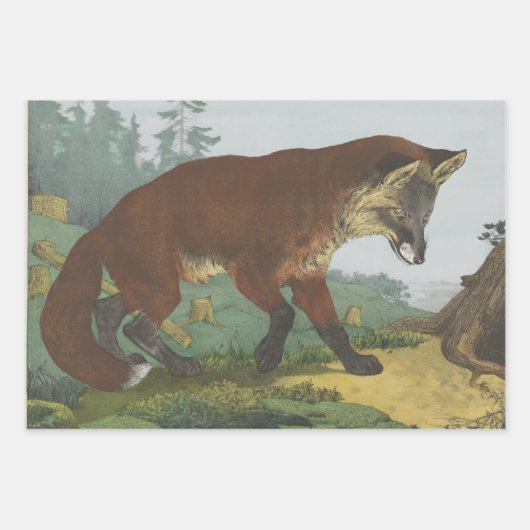 Set aus 3 Überziehpapier Geschenkpapier Set (Vorderseite 3)