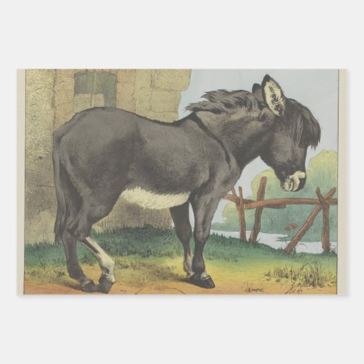 Set aus 3 Überziehpapier Geschenkpapier Set (Vorderseite 2)