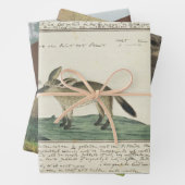 Set aus 3 Überziehpapier Geschenkpapier Set (Beispiel)