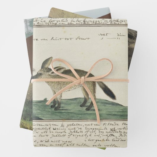 Set aus 3 Überziehpapier Geschenkpapier Set (Beispiel)