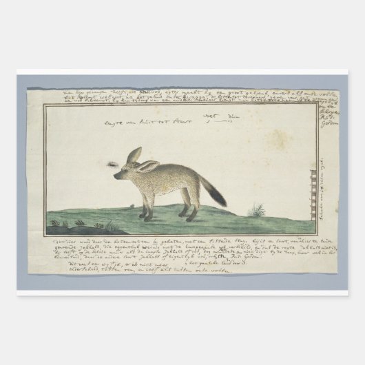 Set aus 3 Überziehpapier Geschenkpapier Set (Vorderseite)