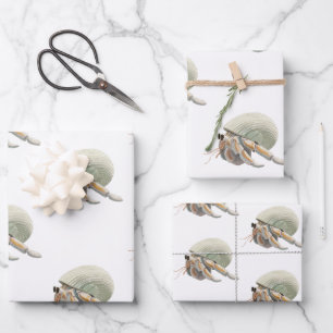 Set aus 3 Überziehpapier Geschenkpapier Set