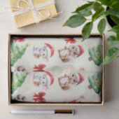 Set aus 3 Überziehpapier Seidenpapier (Geschenk)