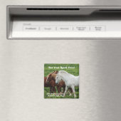 Set deinen Geist frei! Magnet (In Situ (Geschirrspüler))