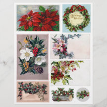 Set der echten Vintagen Blume der Viktorianischen 