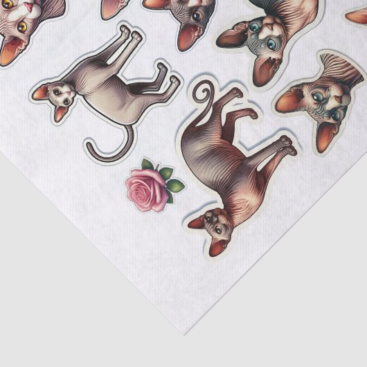 Set der haarlosen Sphynxkatzen Seidenpapier (Ausschnitt)