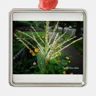 Set der Weihnachtsflora Silbernes Ornament