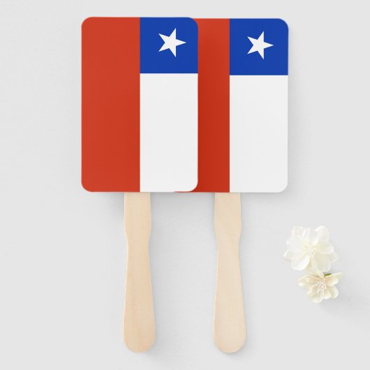 Set des Handlüfters mit Chile Fächer (Vorne und Hinten)