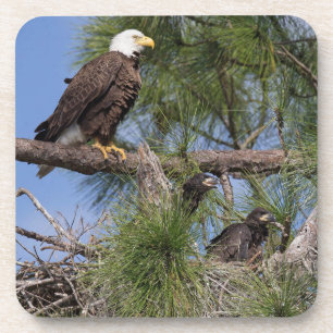 Set des Untersetzer-E10 u. E11 Untersetzer