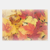 Set für das Wrapping von Papier aus 3 Herbstblätte (Vorderseite 2)