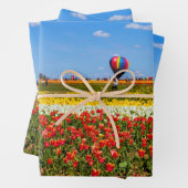 Set für das Wrapping von Springspullen Geschenkpapier Set (Beispiel)