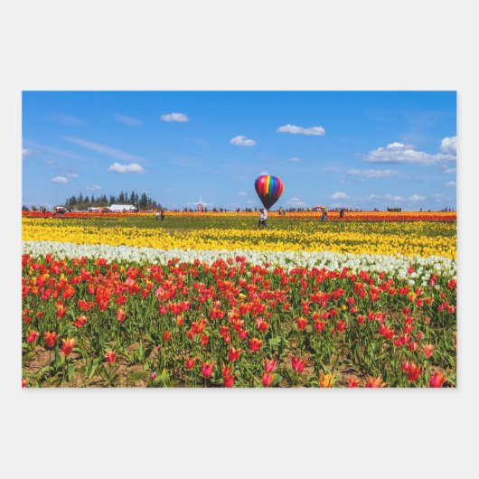 Set für das Wrapping von Springspullen Geschenkpapier Set (Vorderseite)