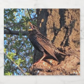 Set für die Kennzeichnung von Vögeln und Lebensmit Bierflaschenetikett (Einzelnes Label)