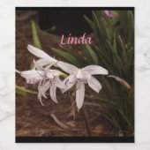 Set für Lebensmittel und Getränke Weinetikett (Einzelnes Label)