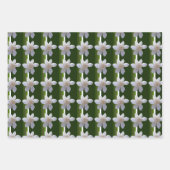 Set für Umschlagpapier - Gröden Geschenkpapier Set (Vorderseite 2)